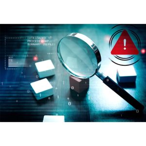 Vulnerability Assessment